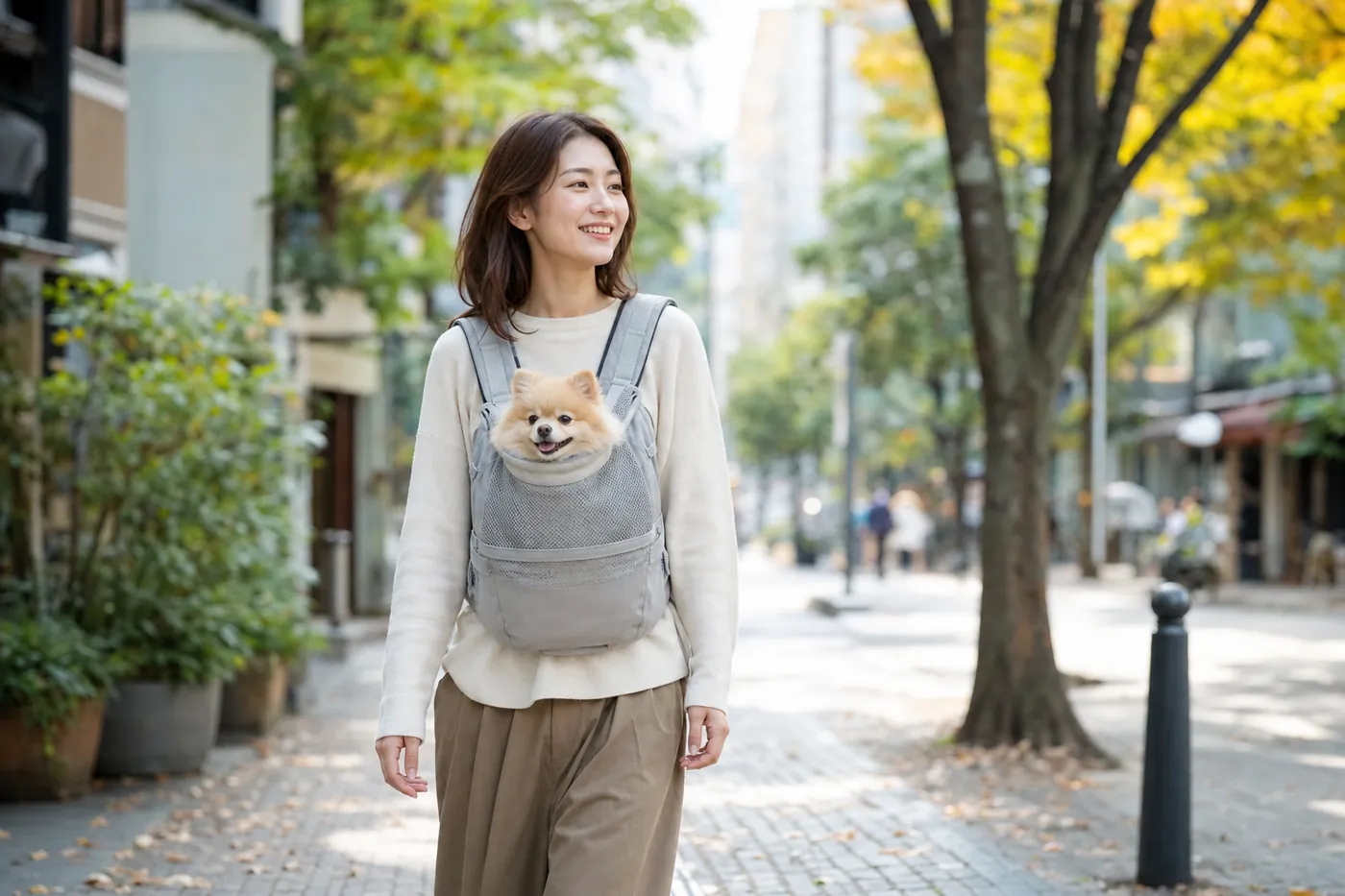 秋の並木道で、胸元のメッシュの抱っこ紐からポメラニアンが顔を出している写真風のイメージ