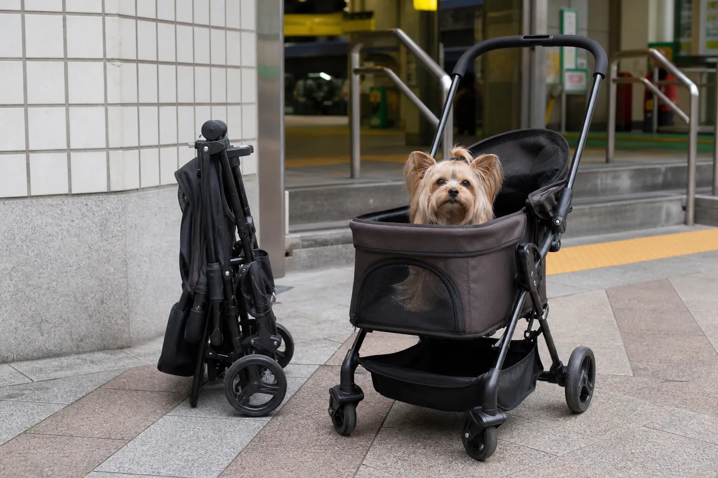 駅の入口の前で、折りたたんだペットカートと、小型犬が乗ったペットカートが並んでいる様子