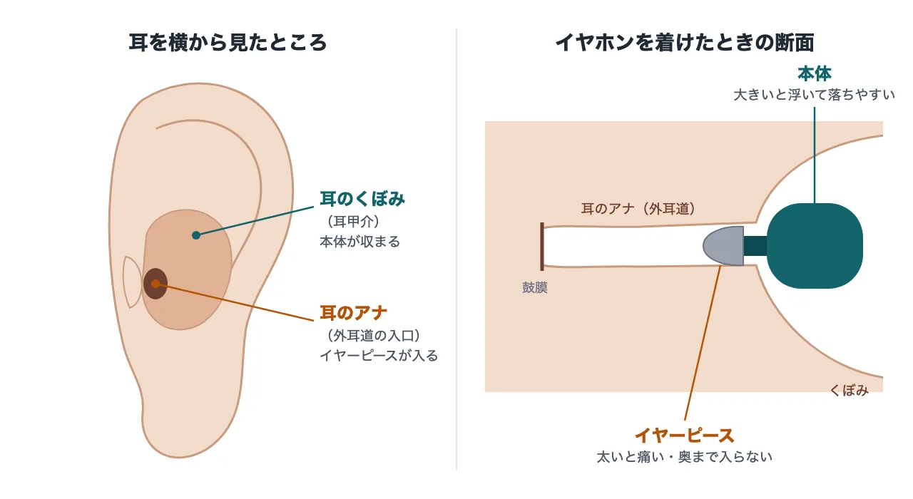 耳を横から見た図と、イヤホンを着けたときの断面図。イヤーピースは耳のアナ(外耳道)に入り、本体は耳のくぼみ(耳甲介)に収まる